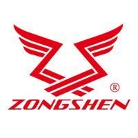 Двигатель бензиновый Zongshen GB 750 BE купить в Москве с доставкой по всей России | ProtosMarket.ru