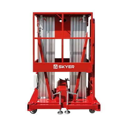 Двухмачтовый подъемник SKYER GTWY10-200 купить в Москве с доставкой по всей России | ProtosMarket.ru