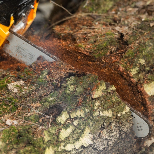 Пила цепная бензиновая DGS-4516, шина 40 см, 45 см3, 3 л.с, шаг 3/8, паз 1.3 мм, 57 звеньев Denzel по ценам производителя в Уфе с доставкой по всей России