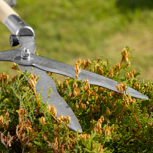 Кусторез, 650 мм, волнистые лезвия, деревянные рукоятки, Горизонт, по ценам производителя в Уфе с доставкой по всей России