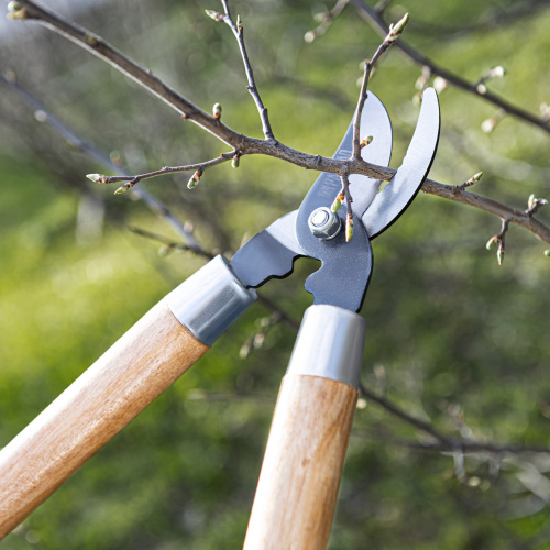 Сучкорез прямого реза, 640 мм, деревянные рукоятки, Palisad по ценам производителя в Уфе с доставкой по всей России