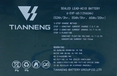 Аккумулятор свинцово-кислотный герм. (GEL) 12В/65Ач (20Hr) 223х135х177 для тележек WPT15-2 по ценам производителя в Уфе с доставкой по всей России