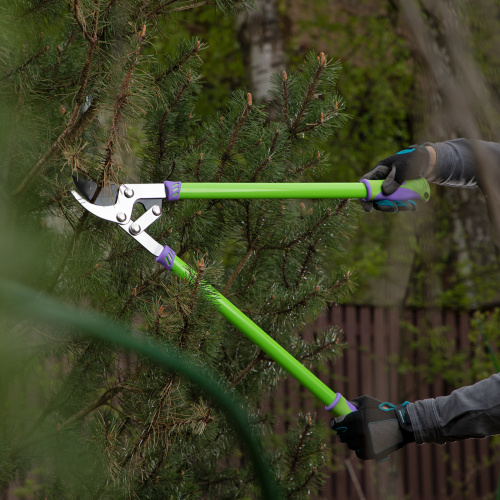 Сучкорез прямого реза, 750 мм, двухрычажный механизм, двухкомпонентные рукоятки, Palisad по ценам производителя в Уфе с доставкой по всей России