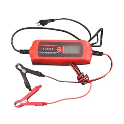 Зарядное устройство KVAZARRUS InForcer 4A купить в Москве с доставкой по всей России | ProtosMarket.ru