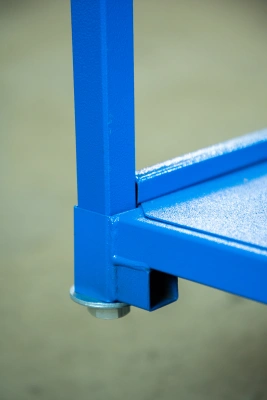 Тележка платформенная TOR ТП-2 (600х900) г/п 300 кг (125 мм) по ценам производителя в Уфе с доставкой по всей России