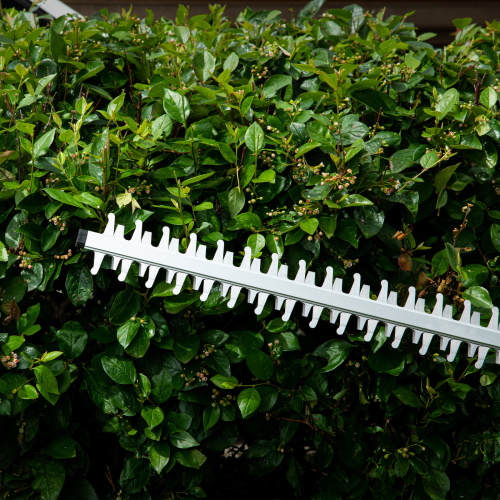 Кусторез аккумуляторный RBC510-36, Li-ion, 36 В, 4 Ач, нож 510 мм, поворотная ручка Denzel по ценам производителя в Уфе с доставкой по всей России