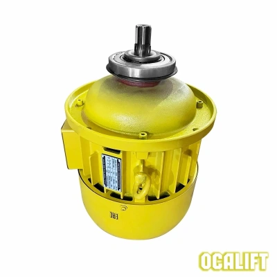 Двигатель подъёма 10т для CD1 купить в Москве с доставкой по всей России | ProtosMarket.ru