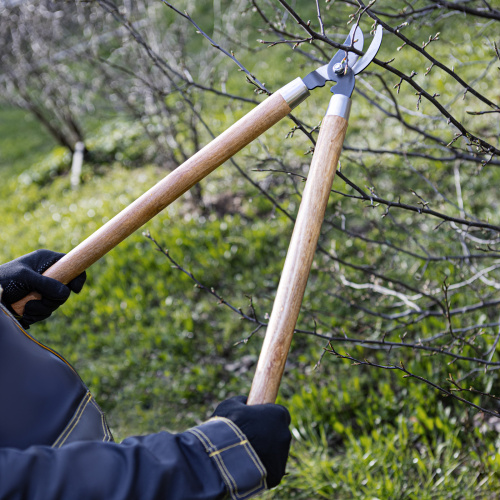 Сучкорез прямого реза, 640 мм, деревянные рукоятки, Palisad по ценам производителя в Уфе с доставкой по всей России