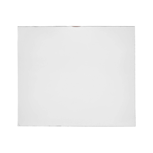 Пластина защитная поликарбонатная 133х114 купить в Москве с доставкой по всей России | ProtosMarket.ru