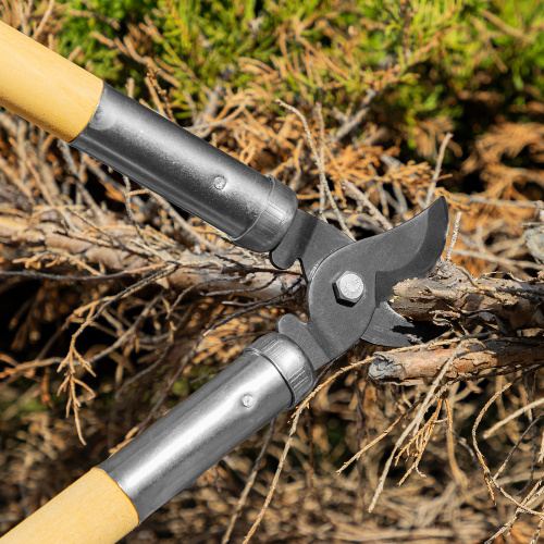 Сучкорез прямого реза, 500 мм, деревянные рукоятки, Горизонт, по ценам производителя в Уфе с доставкой по всей России