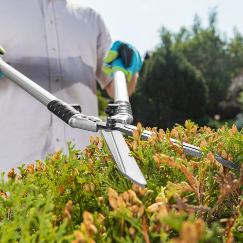 Кусторез, 600 мм, кованый, алюминиевые обрезиненные рукоятки, Forged LUXE Palisad по ценам производителя в Уфе с доставкой по всей России