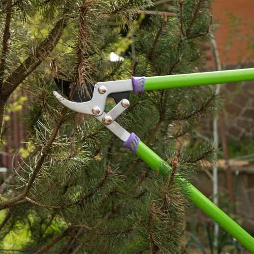 Сучкорез прямого реза, 750 мм, двухрычажный механизм, двухкомпонентные рукоятки, Palisad по ценам производителя в Уфе с доставкой по всей России