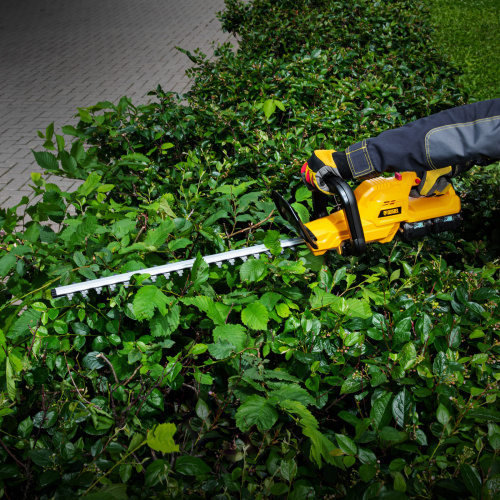 Кусторез аккумуляторный RBC510-36, Li-ion, 36 В, 4 Ач, нож 510 мм, поворотная ручка Denzel по ценам производителя в Уфе с доставкой по всей России