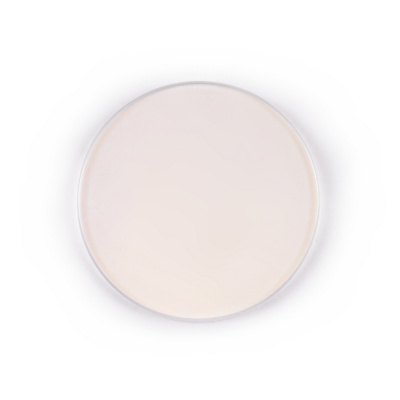 Стекло защитное FWL2000 круглое 43 *2 для очистки купить в Москве с доставкой по всей России | ProtosMarket.ru