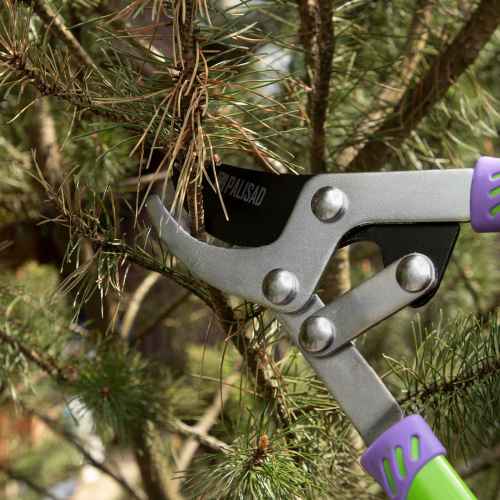 Сучкорез прямого реза, 750 мм, двухрычажный механизм, двухкомпонентные рукоятки, Palisad по ценам производителя в Уфе с доставкой по всей России