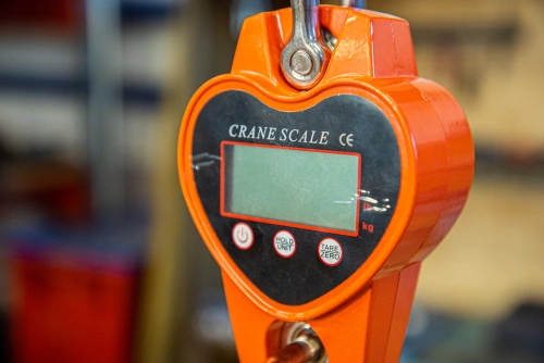 Весы электронные крановые TOR OCS-L 500кг по ценам производителя в Уфе с доставкой по всей России