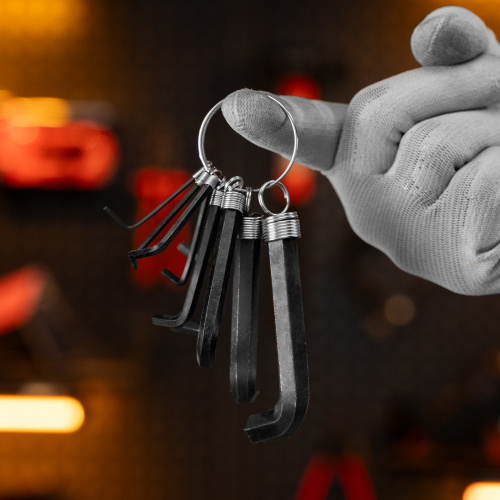 Набор ключей имбусовых HEX, 1.5-10 мм, CrV, 10 шт, оксидированные, на кольце Sparta по ценам производителя в Уфе с доставкой по всей России